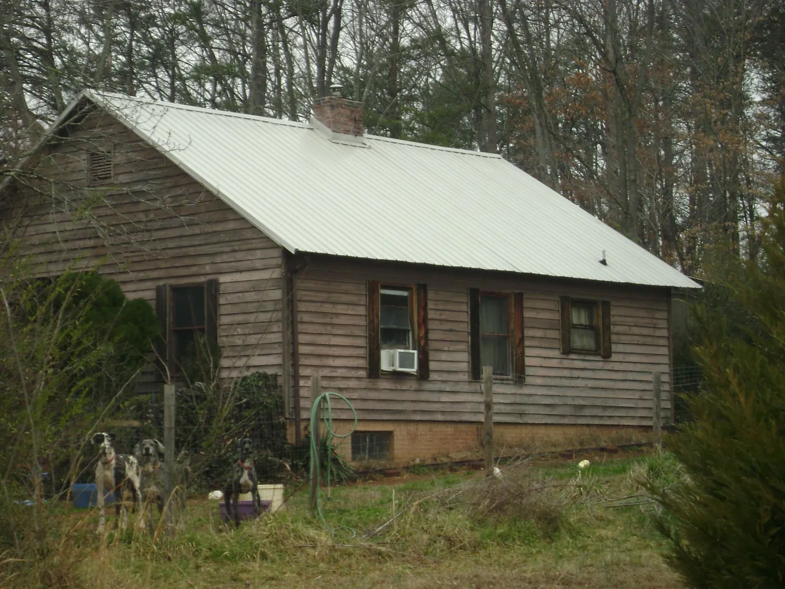 White metal roof on an old wood sided farmhouse, from a Asphalt Shingle Roof Repair job in Saint Petersburg